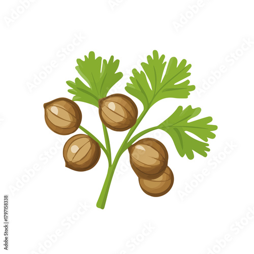 A clean, minimal flat vector of coriander seeds, designed in a modern 2D style on a white background. Minimalistic 2D flat icon, EPS format, simple design