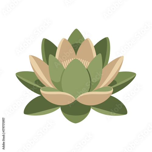 A geometric illustration of a water lily with layered green, beige and light green petals