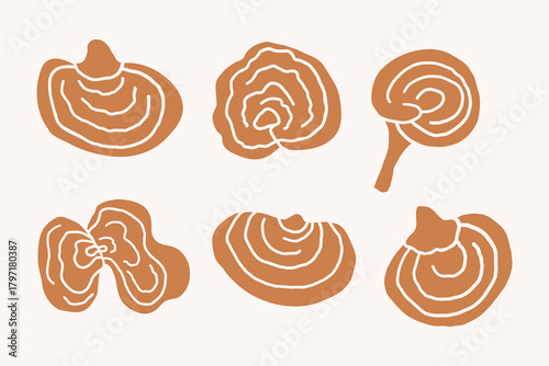 Trametes versicolor silhouette. Turkey tail mushroom set. Hand drawn tinder fungus, Coriolus. Medicinal ingredient of Chinese medicine, tea. Vector illustration on isolated background