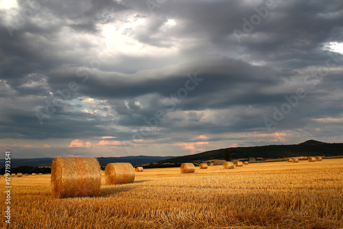 Cuadro en lienzo A row of hay bales in a field near the village of Boudes on a stormy July evening (Puy de Dôme, Auvergne-Rhône-Alpes, France)