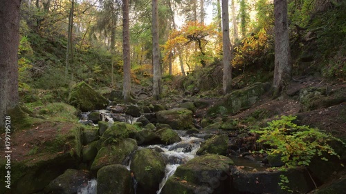 Autumn woodland and cascading water at Wyming Brook in the Derbyshire, Peak District National Park.