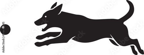 Dynamic silhouette of a dog in mid-air chasing a ball outdoor fun