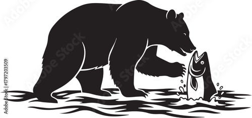 Silhouette of a black bear catching a salmon in a river wildlife scene