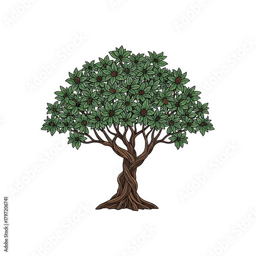 Detailed illustration of a lush, broadleaf tree with a thick, gnarled trunk and a full canopy of green leaves and small fruits.