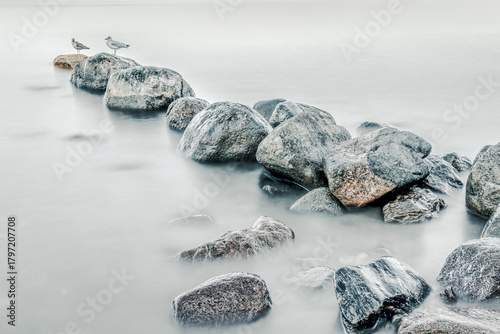 Fototapeta Naklejka Na Ścianę i Meble -  Rocks in the water on the Baltic Sea coast with seagulls.