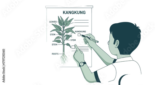 Student Studying Kangkung Plant Anatomy And Identifying Its Different Parts For Examination