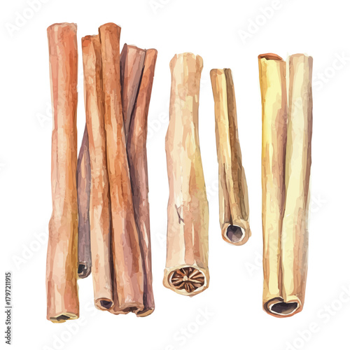 A minimal layout design, a Watercolor painting of a cinnamon sticks, delicately hand-painted with artistic brush strokes, white background, vector EPS