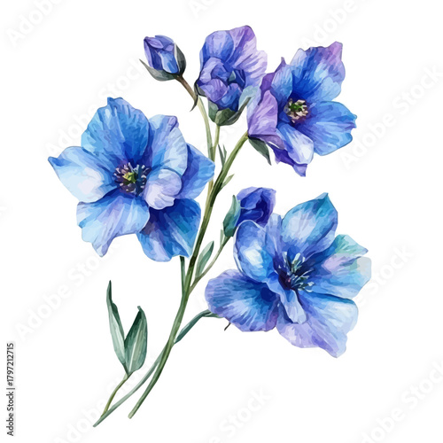 Vector Minimal yet artistic elements for creative designs. hand-drawn paint, A beautiful painting of a delphinium flower, EPS format, isolated on a white background, watercolor illustration
