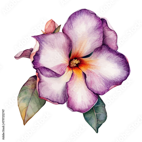 Vector Minimal yet artistic elements for creative designs. hand-drawn paint, A beautiful watercolor painting of a desert rose flower, EPS format, isolated on a white background