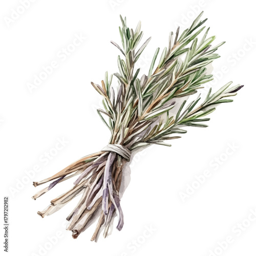An Imaginary Minimalistic 2D flat dried_rosemary, modern element in vector and EPS format, isolated on a white background, Simple illustration, dried_rosemary