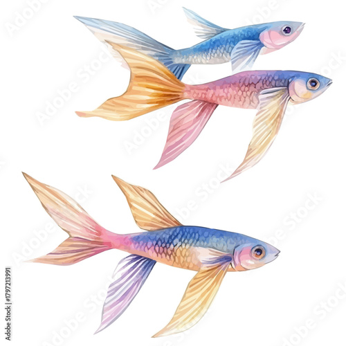 A high-quality watercolor illustration of a flying fish hand-drawn and isolated on a white background, with fine brush details, painting set in watercolor style, EPS format
