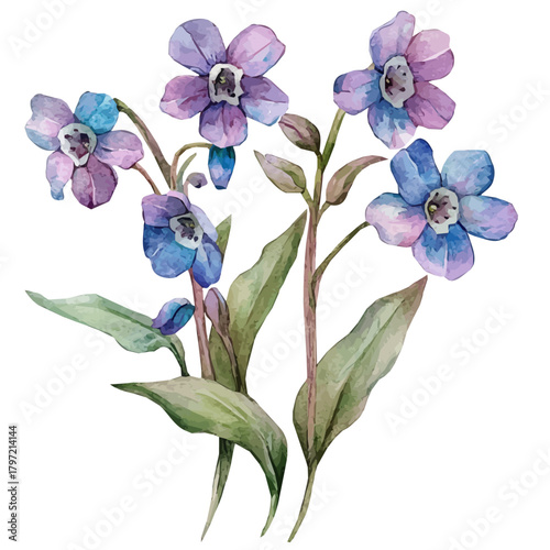 A high-quality watercolor illustration of a forget-me-not flower, hand-drawn and isolated on a white background, with fine brush details, painting set in watercolor style, EPS format
