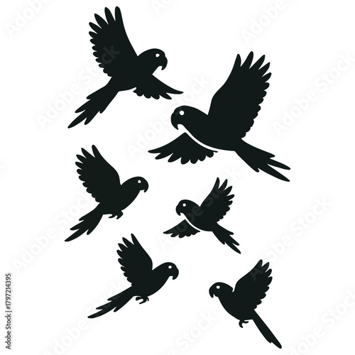 Six black silhouettes of parrots in flight, each captured in a unique airborne pose with spread wings.