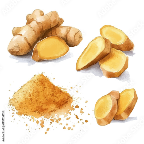 Watercolor type, An Imaginary Minimalistic 2D flat icon ginger powder set, modern element in vector and EPS format, isolated on a white background, Simple illustration