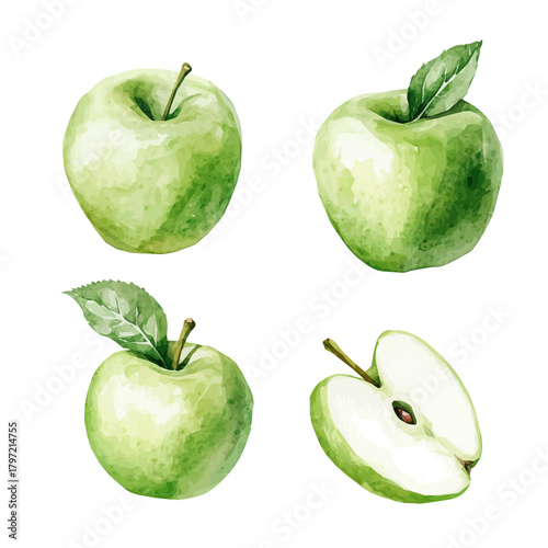 Watercolor type, An Imaginary Minimalistic 2D flat icon green apple, modern element in vector and EPS format, isolated on a white background, Simple illustration