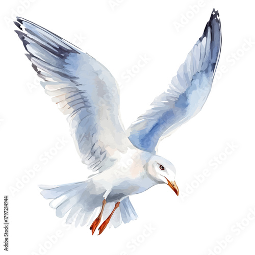 Watercolor type, An Imaginary Minimalistic 2D flat icon gull seagull, modern element in vector and EPS format, isolated on a white background, Simple illustration