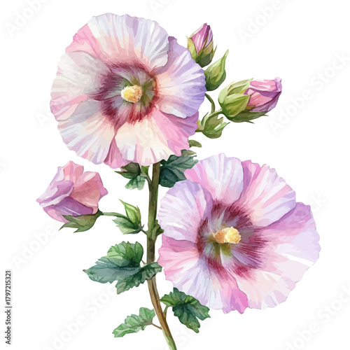 A watercolor-style hollyhock flower set, softly painted and separated on a white background, is crafted as a minimal yet artistic element for creative designs. EPS format