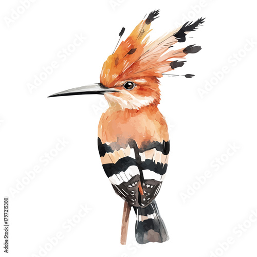 Watercolor type, An Imaginary Minimalistic 2D flat icon hoopoe bird, modern element in vector and EPS format, isolated on a white background, Simple illustration