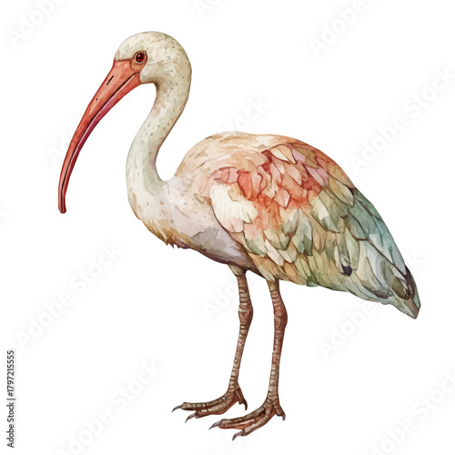 An Imaginary Minimalistic 2D flat icon ibis bird, modern element in vector and EPS format, isolated on a white background, Simple illustration