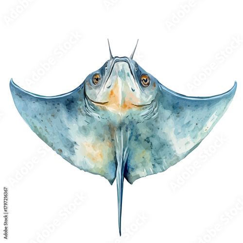 A hand-drawn painting, a Simple Illustration, A beautiful painting of ray fish, EPS format, isolated on a white background, with minimal yet artistic elements for creative designs