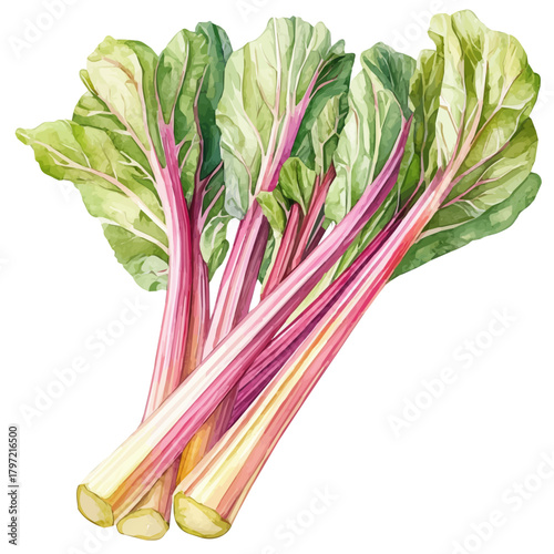 An Imaginary Minimalistic 2D flat icon rhubarb, modern element in vector and EPS format, isolated on a white background, Simple illustration