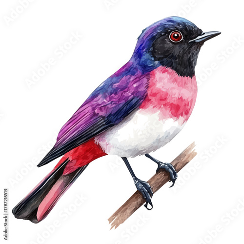 An Imaginary Minimalistic 2D flat icon robin bird, modern element in vector and EPS format, isolated on a white background, Simple illustration