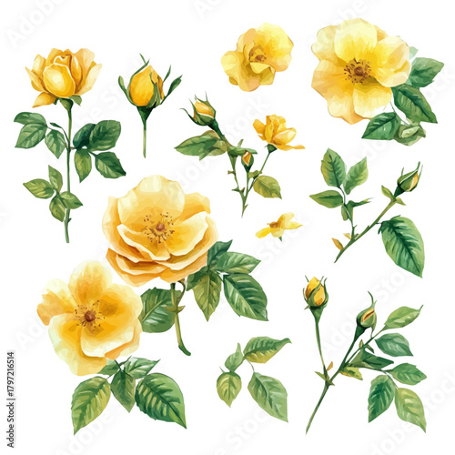 An Imaginary Minimalistic 2D flat icon rose flower, modern element in vector and EPS format, isolated on a white background, Simple illustration