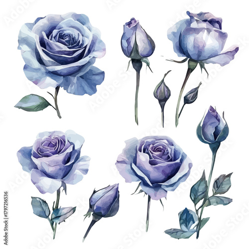 An Imaginary Minimalistic 2D flat dark rose flower, modern element in vector and EPS format, isolated on a white background, Simple illustration