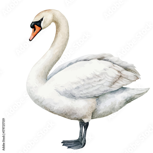 Cute design, An Imaginary Minimalistic 2D flat icon swan bird, modern element in vector and EPS format, isolated on a white background, Simple illustration