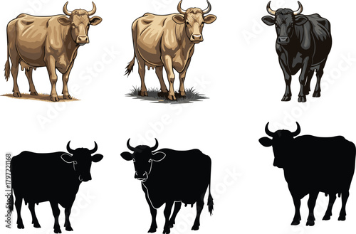 Cow illustration and silhouette collection, farm animal design, dairy cattle vector art for agriculture, livestock, milk production, and rural themes