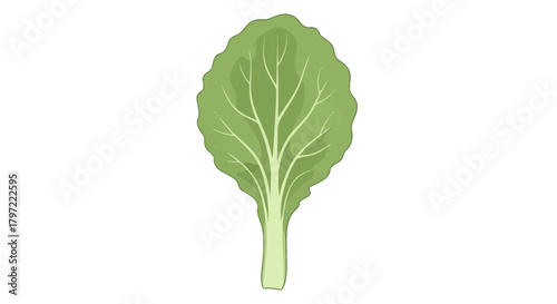 Vibrant Green Leaf Presentation on Black Backdrop Perfect for Healthy Dietary Illustrations