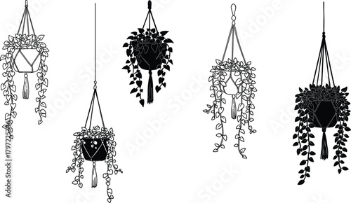 Modern boho macrame hanging plant pots with trailing leaves, minimalist black and white line art home garden wall decoration