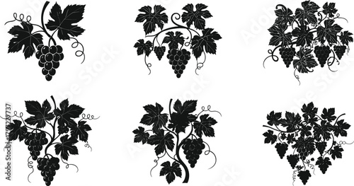 Elegant black grapevine silhouette collection with detailed leaves and grape bunches, vintage botanical vector design for wine, vineyard, and art