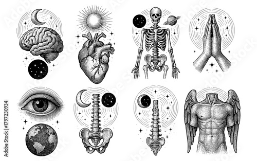 Mystical anatomy collection with celestial and spiritual symbols in vintage style