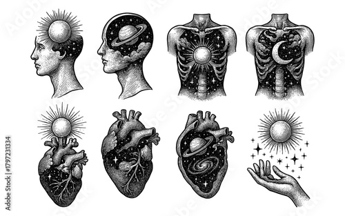 Celestial cosmic designs: anatomical body art with surreal cosmic elements