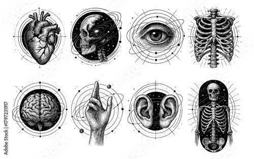Intricate anatomical designs featuring human body parts in cosmic patterns