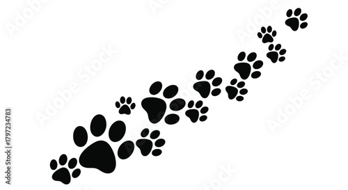 A series of black paw prints arranged in a winding diagonal line