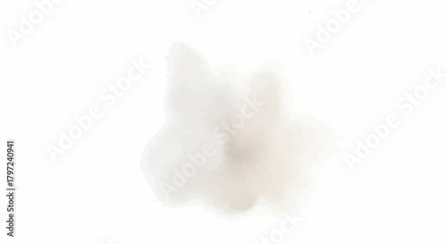 A soft and diffused cloud like formation with subtle gradients on a clean white background image capture