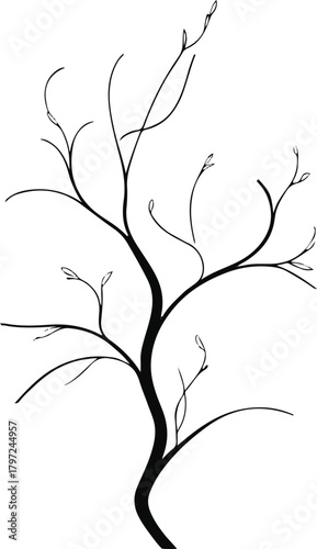  Modern vector 2026 with minimalist vine outlines” — a clean line-art approach for logo-style use