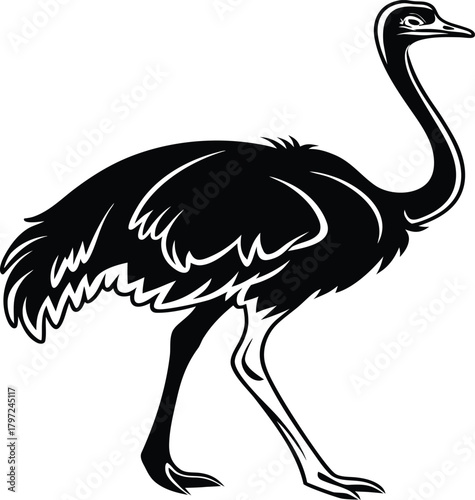 Black silhouette of a standing ostrich with long neck and legs on a white background