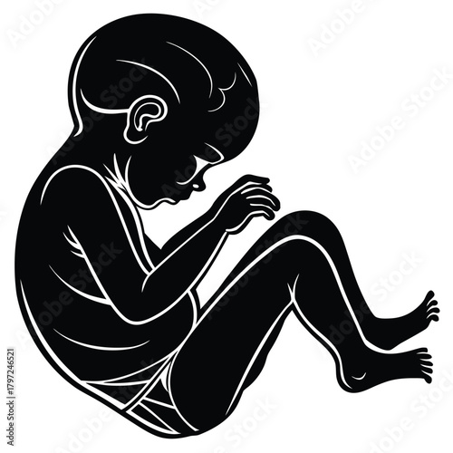 Stylized silhouette of a newborn baby in a fetal position with detailed outline