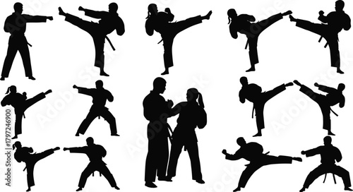 martial, arts, silhouette, kick, punch, stance, sparring, karate, taekwondo, posture, motion, discipline, training, technique, combat