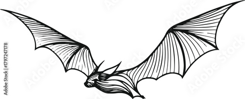 Elegant abstract line forming a bat in flight — wings shaped like gentle waves in motion
