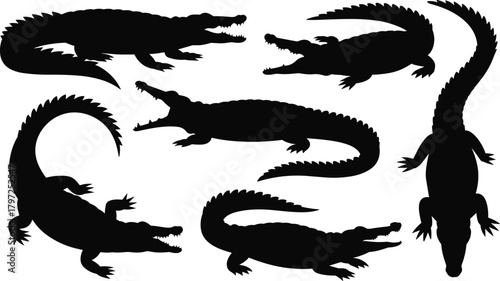 Crocodile silhouette, wildlife illustration, reptile shape, animal pose, predator icon, black vector, nature graphic, crocodile anatomy, isolated creature, fierce expression