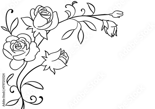 おしゃれなバラのフレーム　手描き