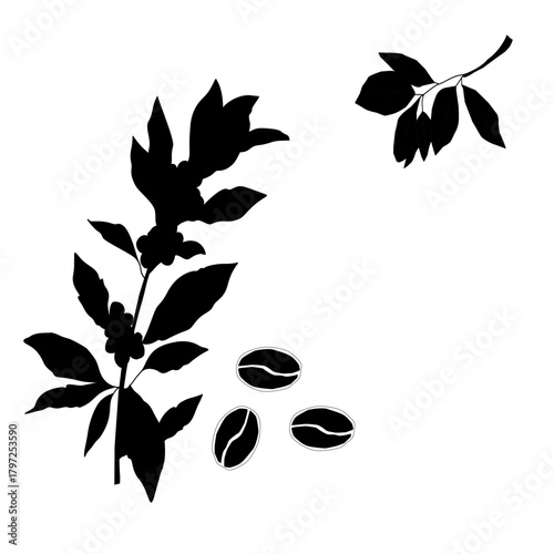 Floral Coffee Silhouette Vector Art. Botanical Coffee Cup and Beans Illustration. Elegant Coffee Branch Decor Icon. Minimalist Cafe Drink Silhouette with Leaves. Coffee Plant Decorative Outline Design