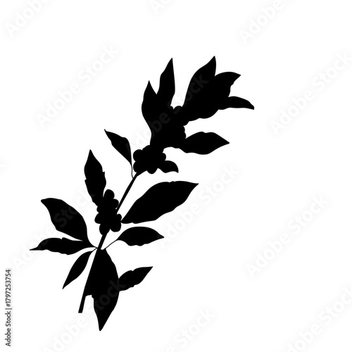 Floral Coffee Silhouette Vector Art. Botanical Coffee Cup and Beans Illustration. Elegant Coffee Branch Decor Icon. Minimalist Cafe Drink Silhouette with Leaves. Coffee Plant Decorative Outline Design