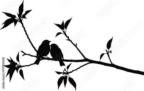 Two birds perched on tree branch, silhouette nature scene, peaceful moment vector, black white contrast, cad drawing flat vector illustration