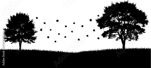 Silhouette of trees and falling leaves on a grassy field against a white background
