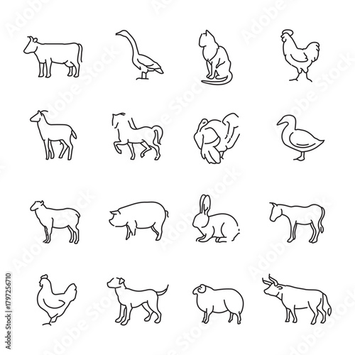 Animals thin line vector icons.